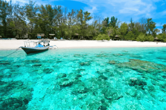 Open Trip 3D2N Komodo Island