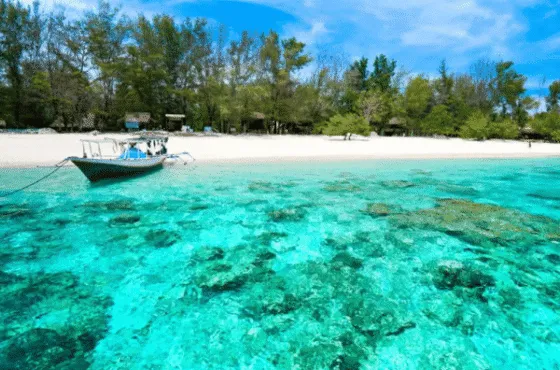 Open Trip 3D2N Komodo Island