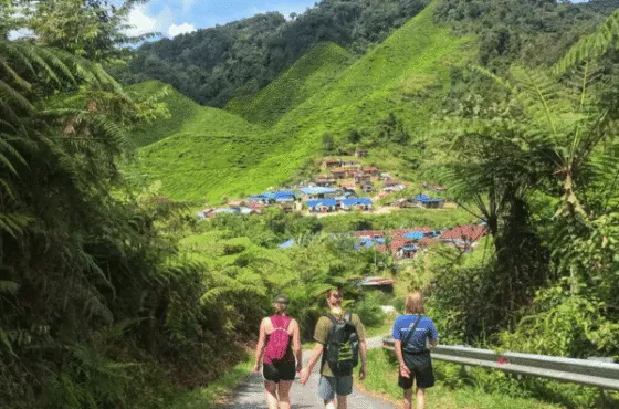 Private Trip 4D3N Komodo Island