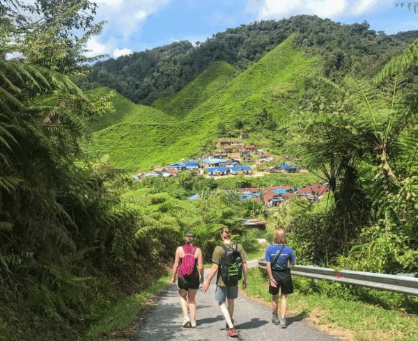 4D3N Private Trip Komodo