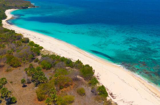 Open Trip 3D2N Waerebo x Nuca Molas