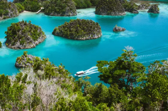 Private Trip 12D11N Raja Ampat