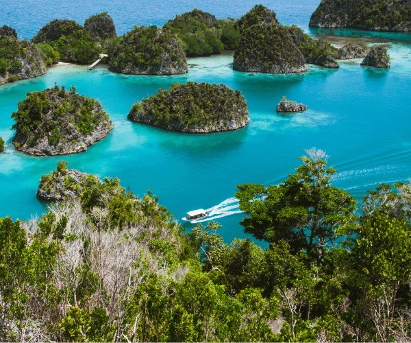 Private Trip 12D11N Raja Ampat