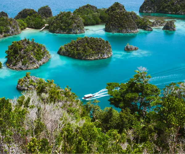 Private Trip 12D11N Raja Ampat