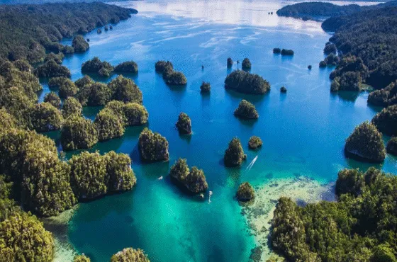 Private Trip 5D4N Raja Ampat