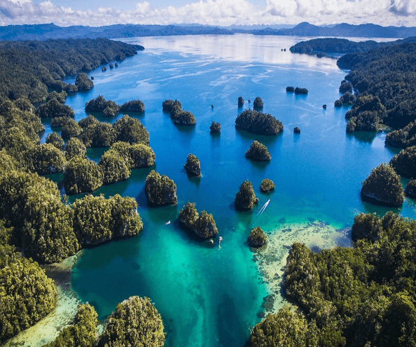 Private Trip 5D4N Raja Ampat