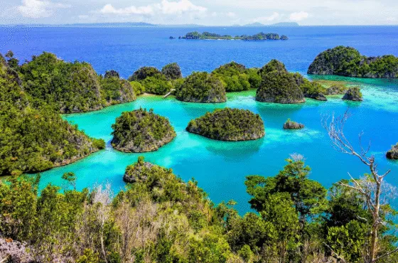 Private Trip 8D7N Raja Ampat