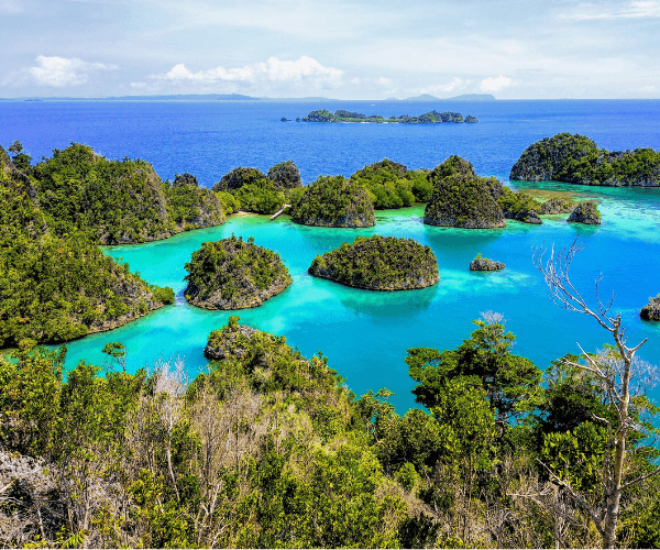 Private Trip 8D7N Raja Ampat