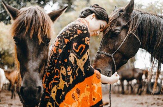 Private Trip Sumba 4D3N