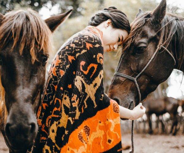 Private Trip Sumba 4D3N