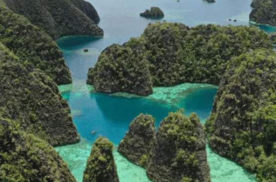 Raja Ampat Private Tour