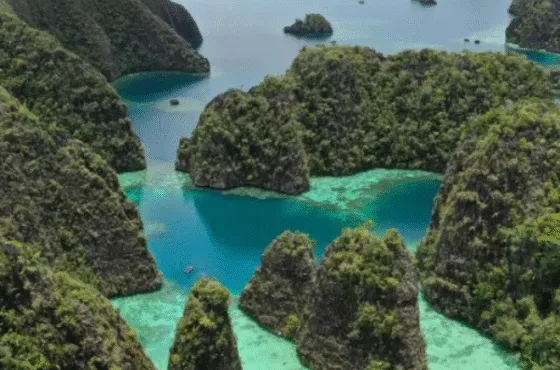 Raja Ampat Private Tour