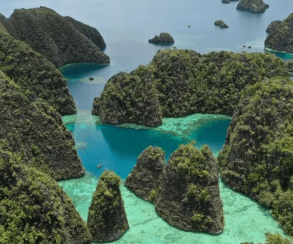 Raja Ampat Private Tour