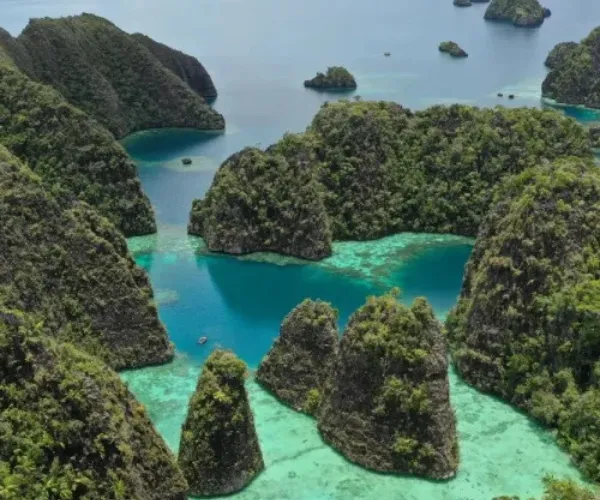 Raja Ampat Private Tour