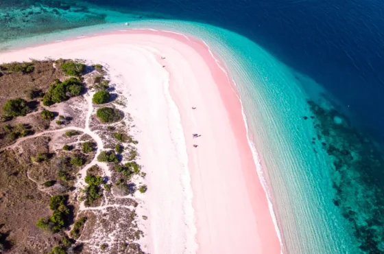 Komodo Island Pink Beach: The Ultimate Guide to Indonesia’s Rare Natural Wonder 