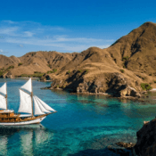 ラブハン・バジョのボートツアーでコモド国立公園へ行く方法