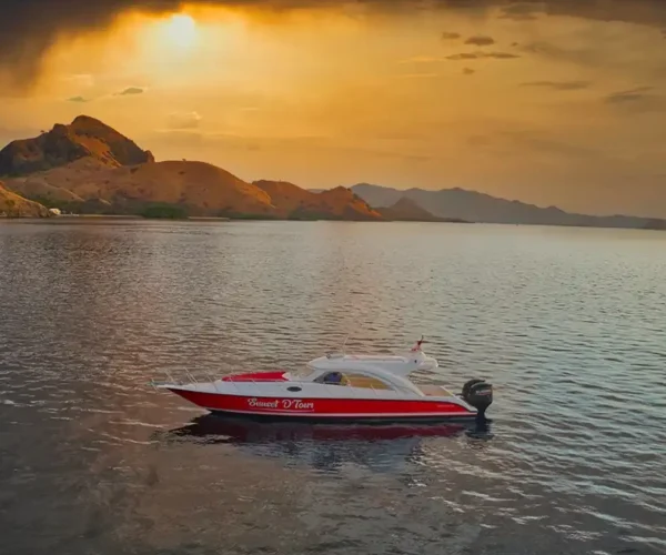 Sunset-Speedboat-1
