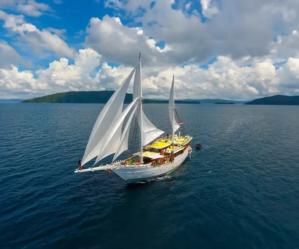 Teman-liveaboard-feat