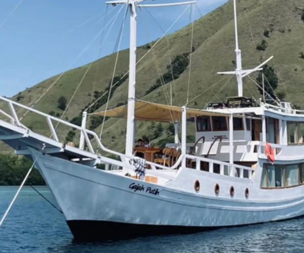 df2e69b1-fe77-4b9a-a45b-d91b290e9eaf