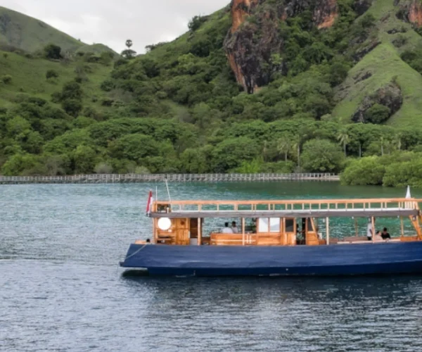 dji_fly_20241222_170552_249_1734859539556_photo